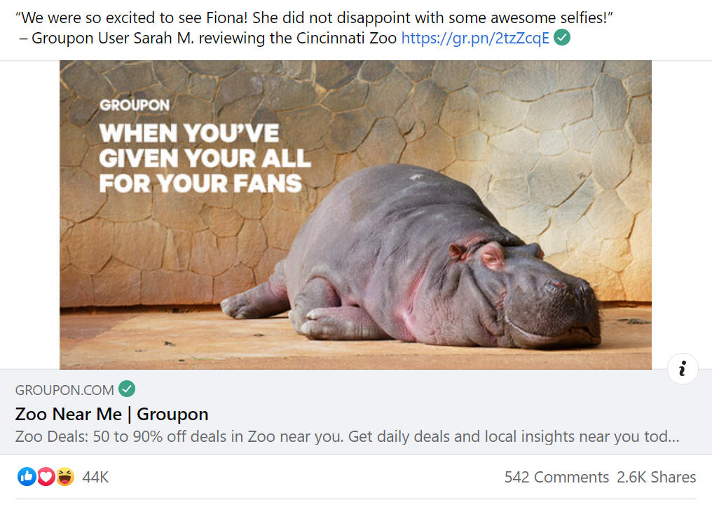 Viral-ish &quot;User review meme&quot; post